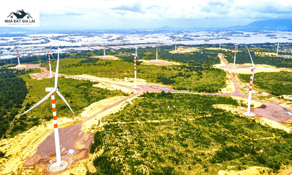 Có nên mua đất Gia Lai không? Cơ hội đầu tư dài hạn và lựa chọn thông minh