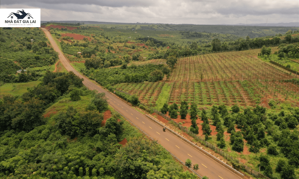 Đất rẫy Gia Lai: Tiềm năng đầu tư bền vững tại khu vực Tây Nguyên