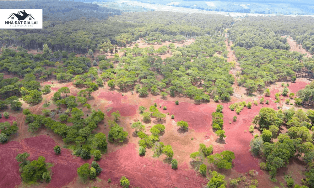 Bảng giá đất Đắk Đoa tỉnh Gia Lai mới nhất 2026: Tra cứu và tiềm năng đầu tư