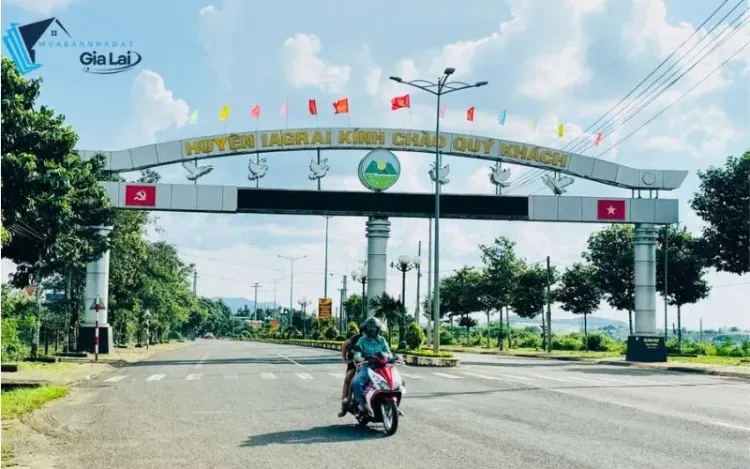 Đất Rẫy Ia Grai: Hướng Đầu Tư Nông Nghiệp Bền Vững